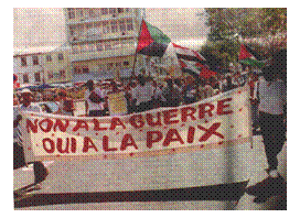 Zone de Texte:  