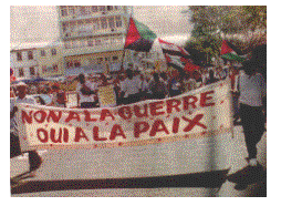 Zone de Texte:  